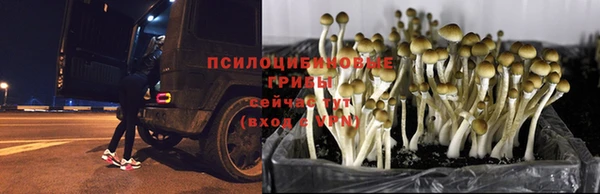 соль ск Алзамай