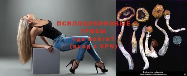 соль ск Алзамай