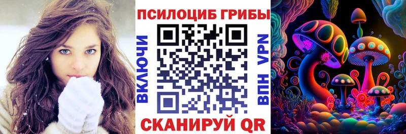 Купить закладки  Заволжск  Псилоцибиновые грибы мицелий 